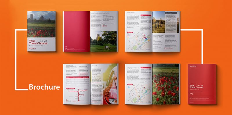 thiết kế brochure